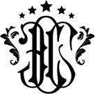 ЭлитСаунаСтрой